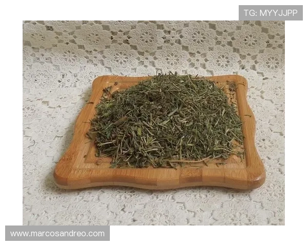 letou乐投手机版支持多平台同步登录，随时随地畅玩精彩纷呈的线上游戏